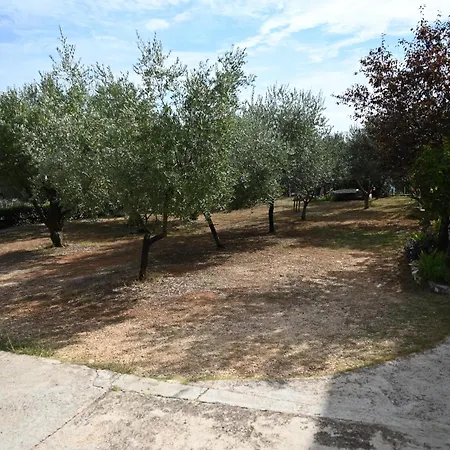 Cozy In With Free Parking And Olive Garden * Zadar