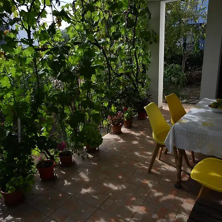 Cozy In With Free Parking And Olive Garden * Zadar